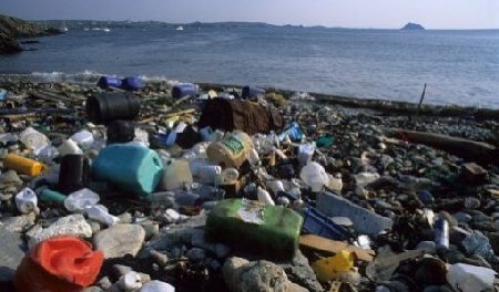 Collecte des déchets en pays d'Auray: trop de poubelles tuent la poubelle ?